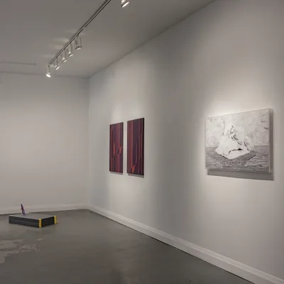 20140214 Alex Fischer Simulators II Angell Gallery 05 Is Water documentation.jpg